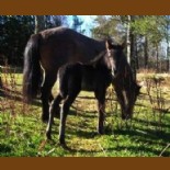 Kraftur080420 2 Kraftur080420 2