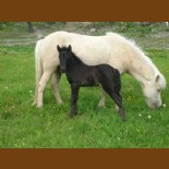 littlalif 288pxl littlalif 288pxl